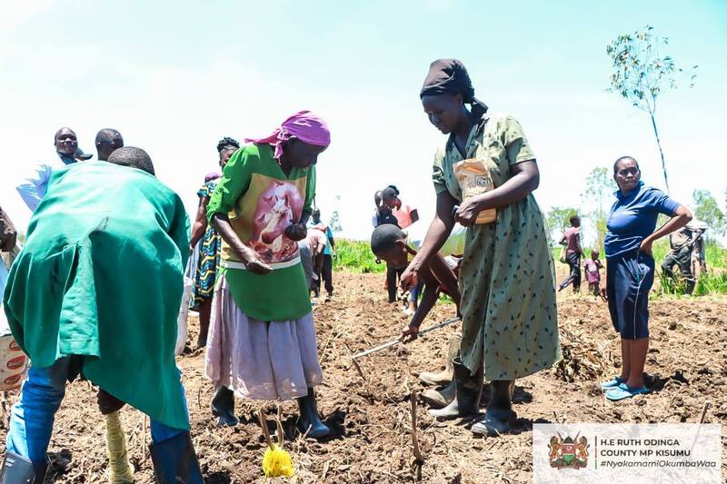 Kapuothe farmers implementing what they have been taught by the agronomists during a field day organized by the Nyakamami Foundation